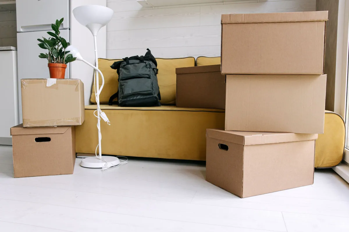 Illustrative stock photo: packed moving boxes beside a yellow sofa and houseplant