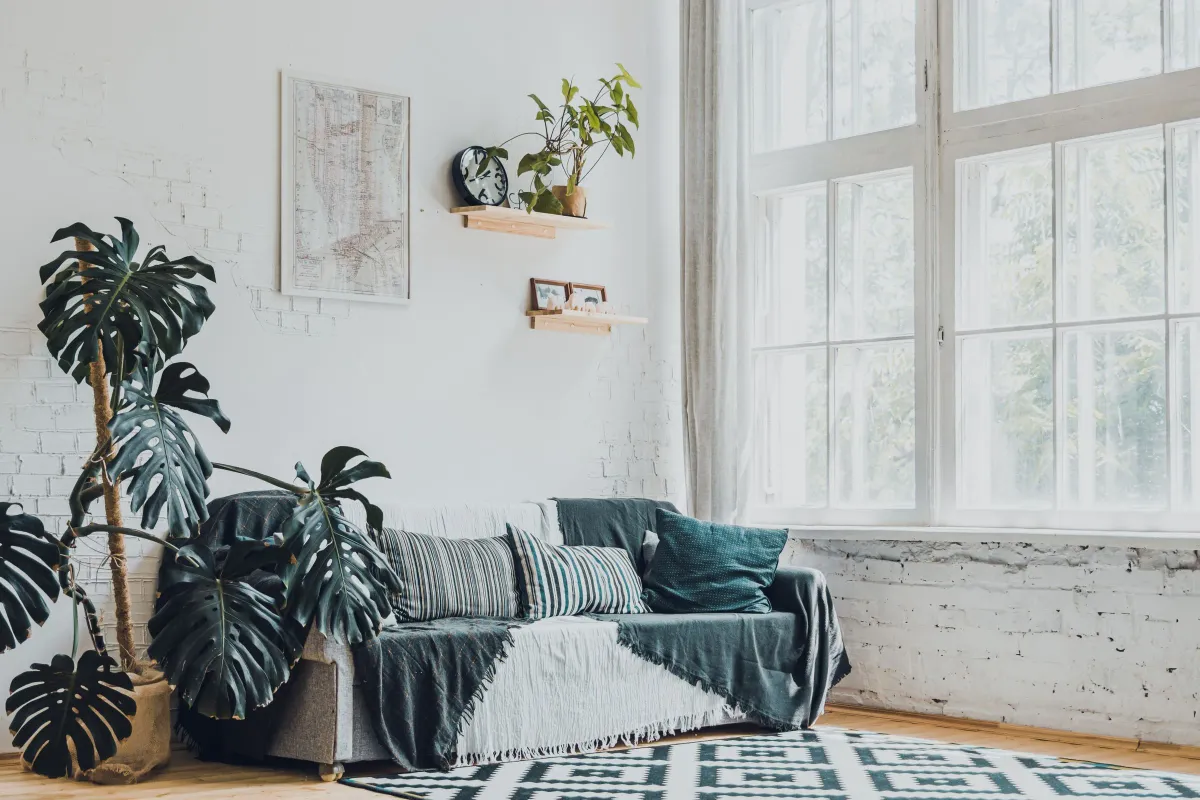 Illustrative stock photo: living room seating styled with cushions and leafy plants